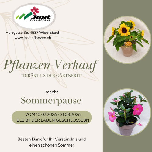 Sommerpause Pflanzen-Verkauf